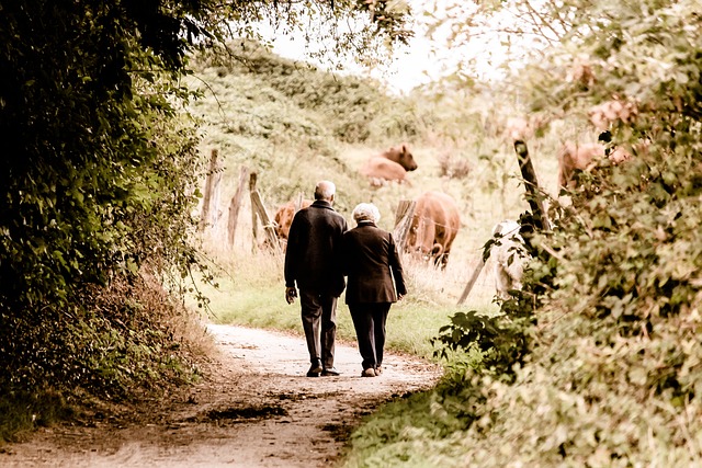 retired couple walking in the country